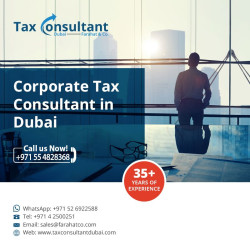 Tax consultant Dubai