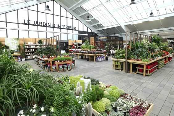 Top plant nurseries in Sharjah